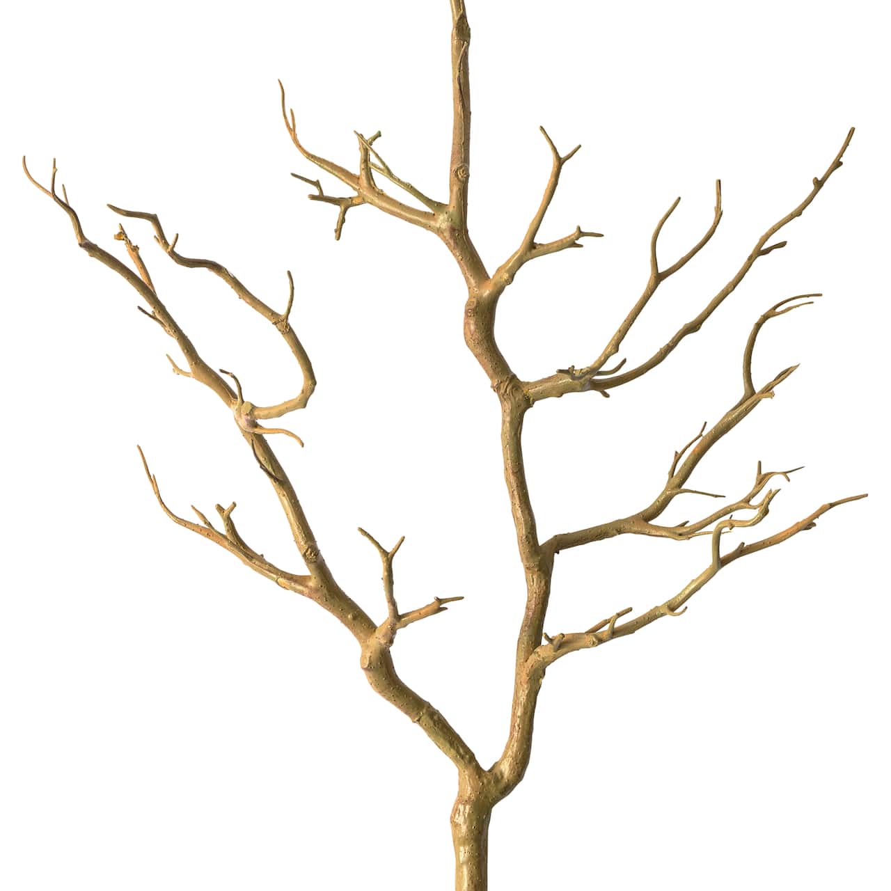 Branche de bouleau nue d’Ashland, 101,6 cm
